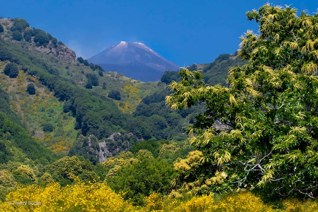 Le coeur brûlant de la Sicile | Etna